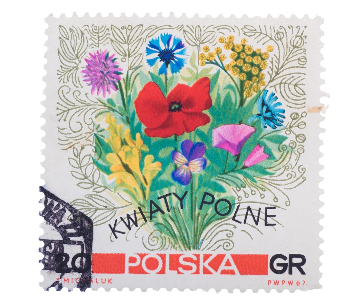 polônia - por volta de 1967. um selo impresso em mostra buquê de foto