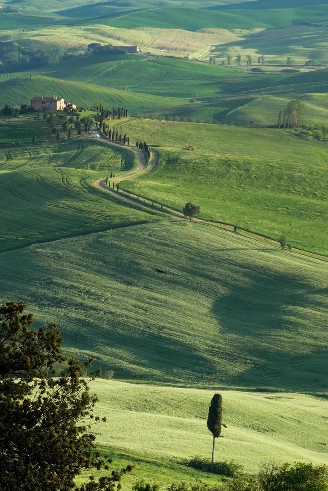 val d'orcia, toscana, itália, 2013. zona rural de val d'orcia foto