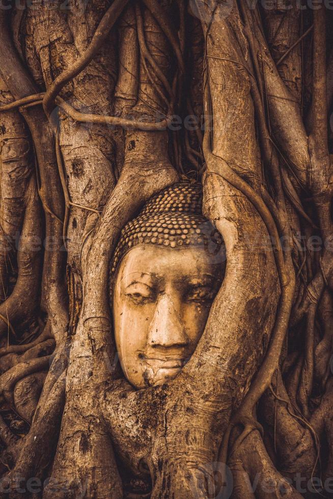 Tailândia ruínas e antiguidades no parque histórico de ayutthaya turistas de todo o mundo decadência de buda foto