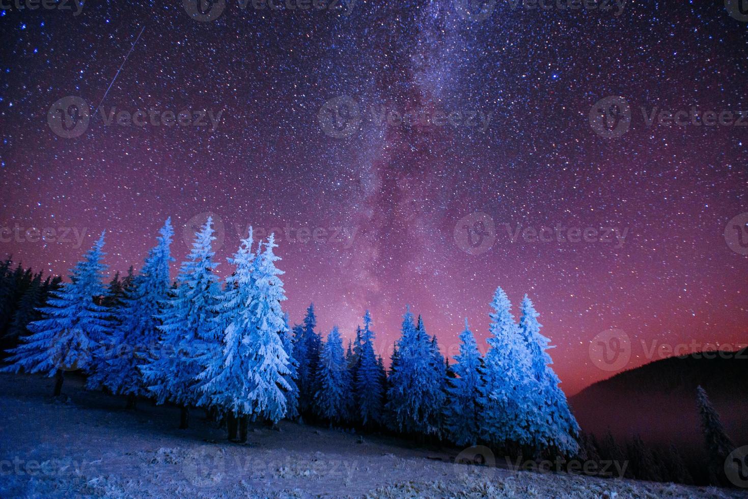 árvore mágica na noite estrelada de inverno foto