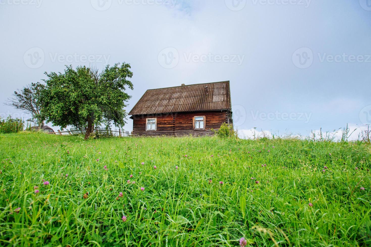 paisagem com árvore colorida e casa foto