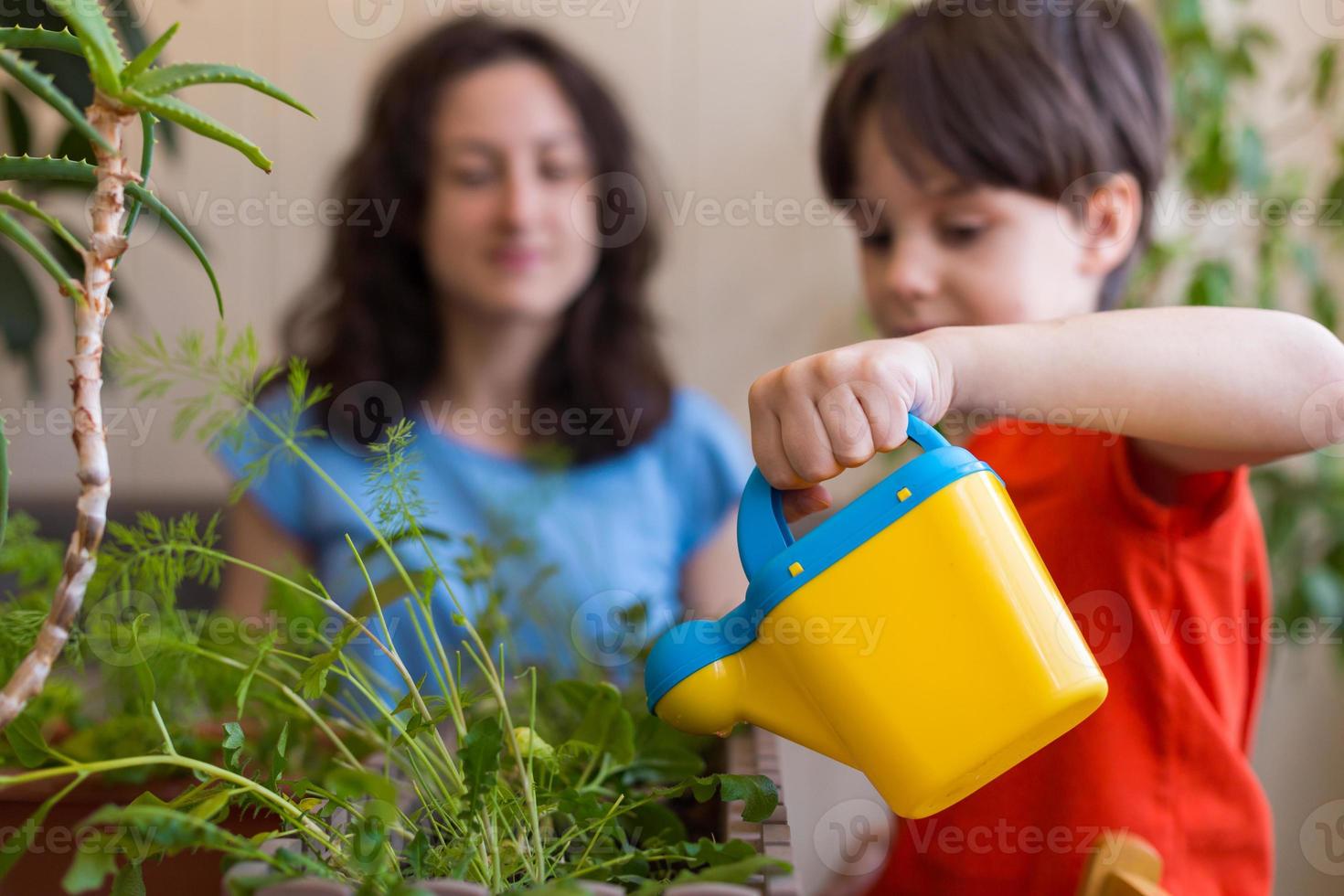menino ajuda a mãe a cuidar das plantas da casa foto