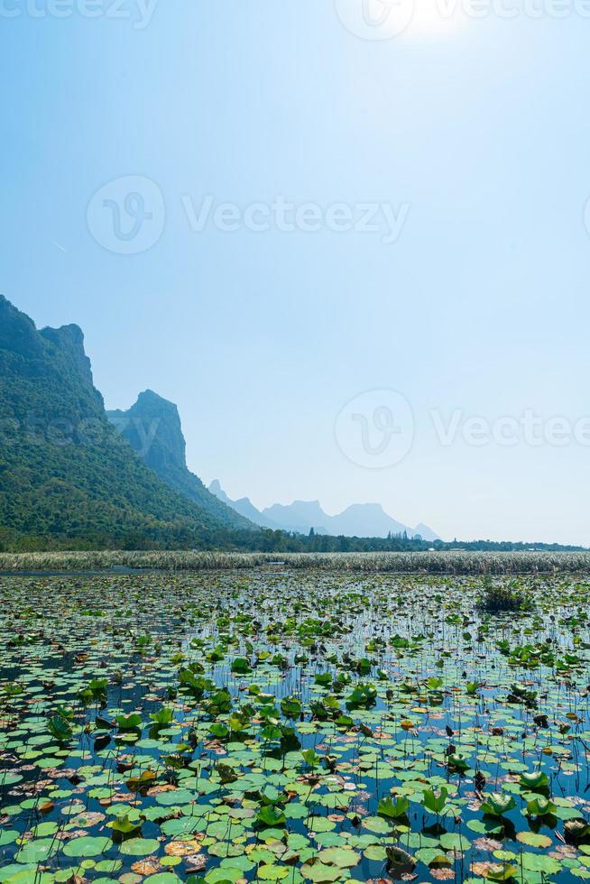 sam roi yot pântano de água doce ou parque nacional bueng bua khao sam roi yot foto