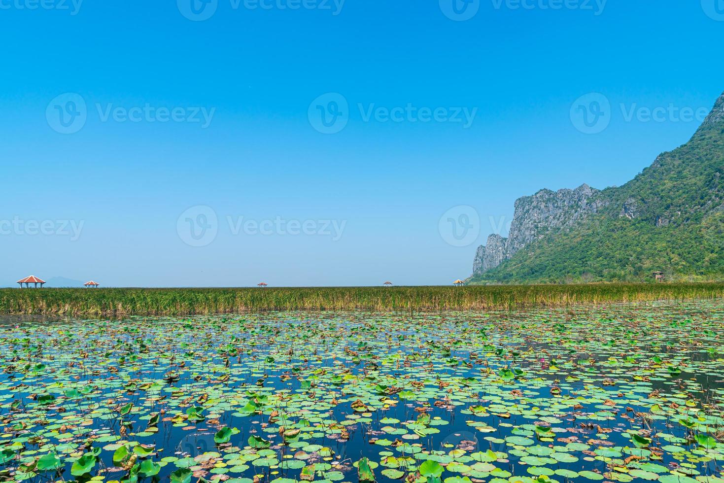 sam roi yot pântano de água doce ou parque nacional bueng bua khao sam roi yot foto