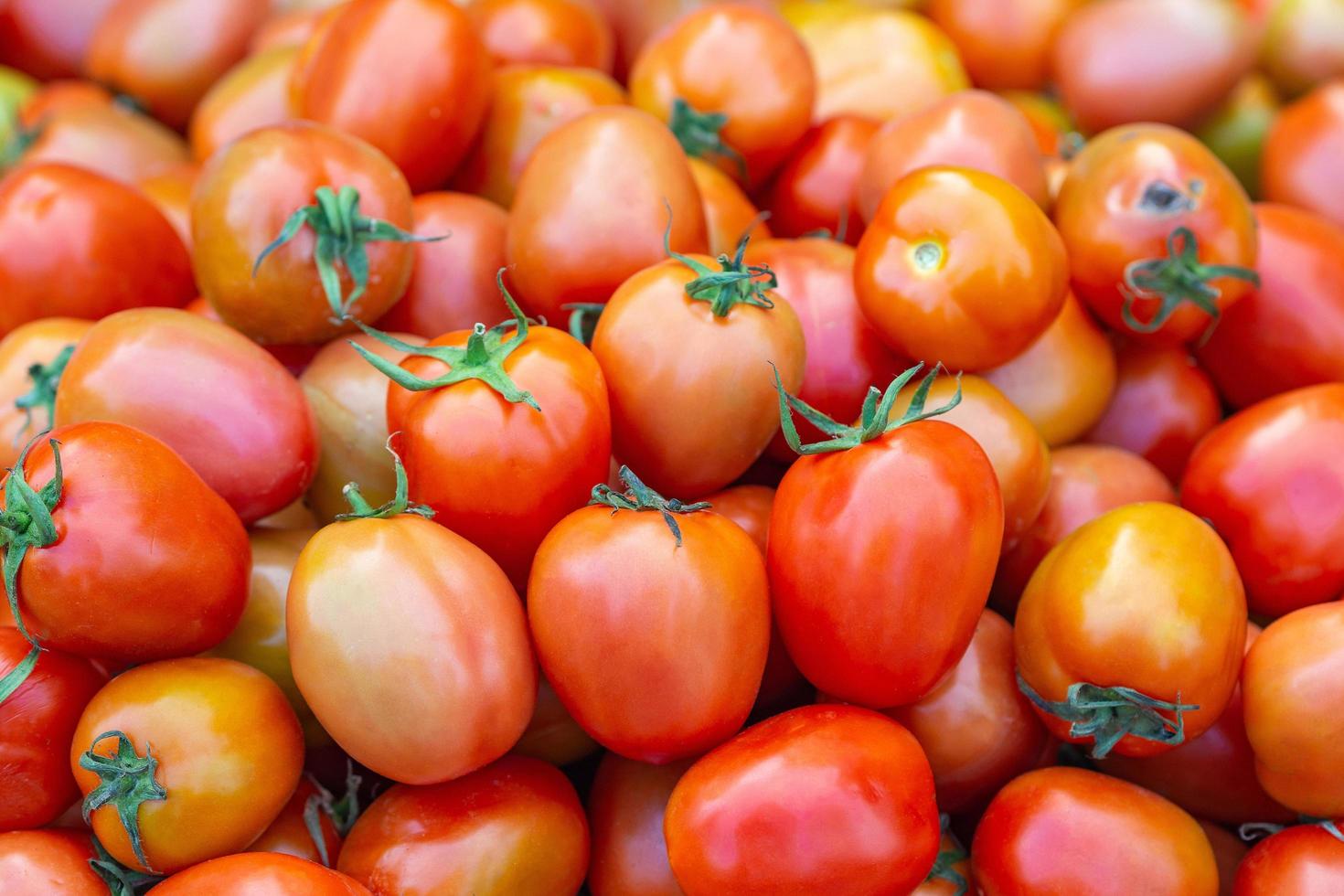 pilha de tomates vermelhos para venda no mercado fresco foto