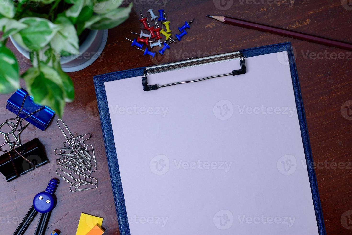 arquivo, lápis e material de escritório. colocado ao lado de uma árvore em uma mesa de madeira. foto