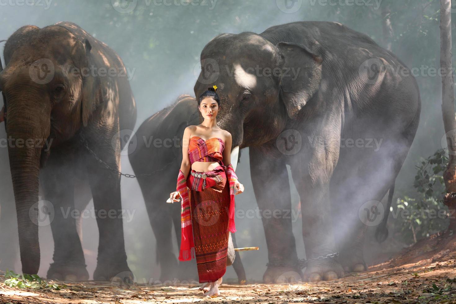 elefante com linda garota na zona rural asiática, tailândia - elefante tailandês e linda mulher com vestido tradicional na região de surin foto