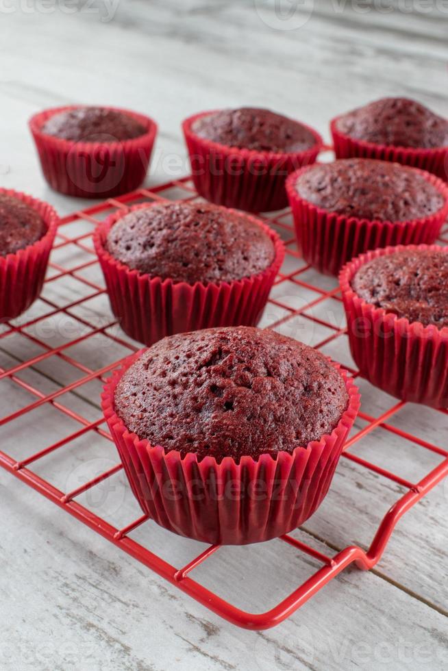 cupcakes de veludo vermelho assados na cremalheira de arame vermelho foto