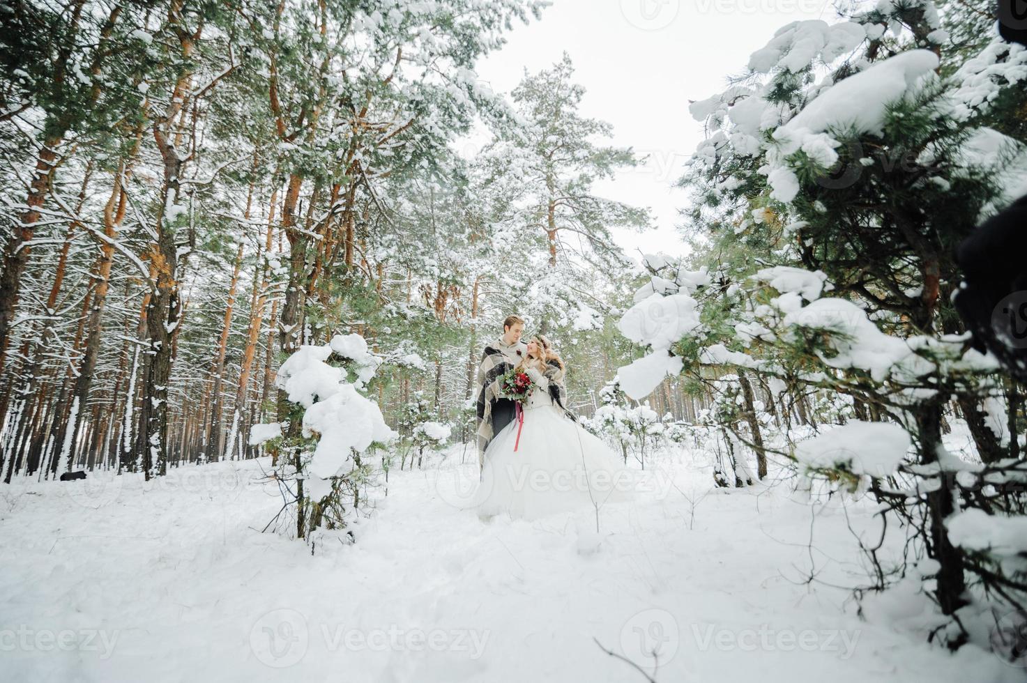 sessão de fotos de casamento de inverno na natureza