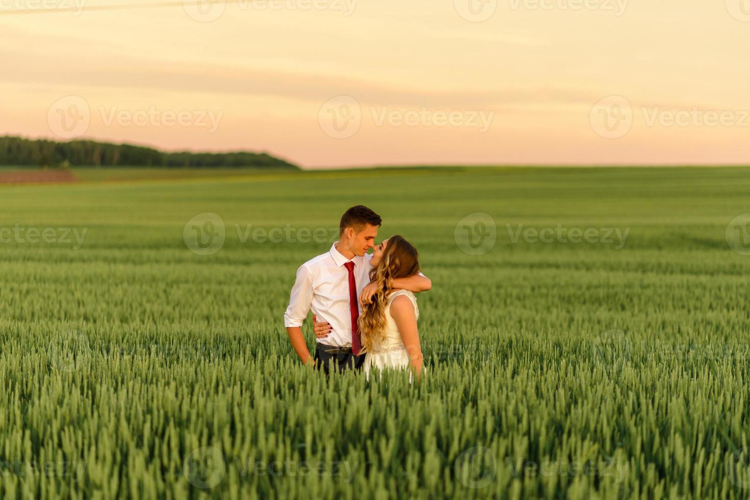 noivos em um campo de trigo. o casal se abraça durante o pôr do sol foto