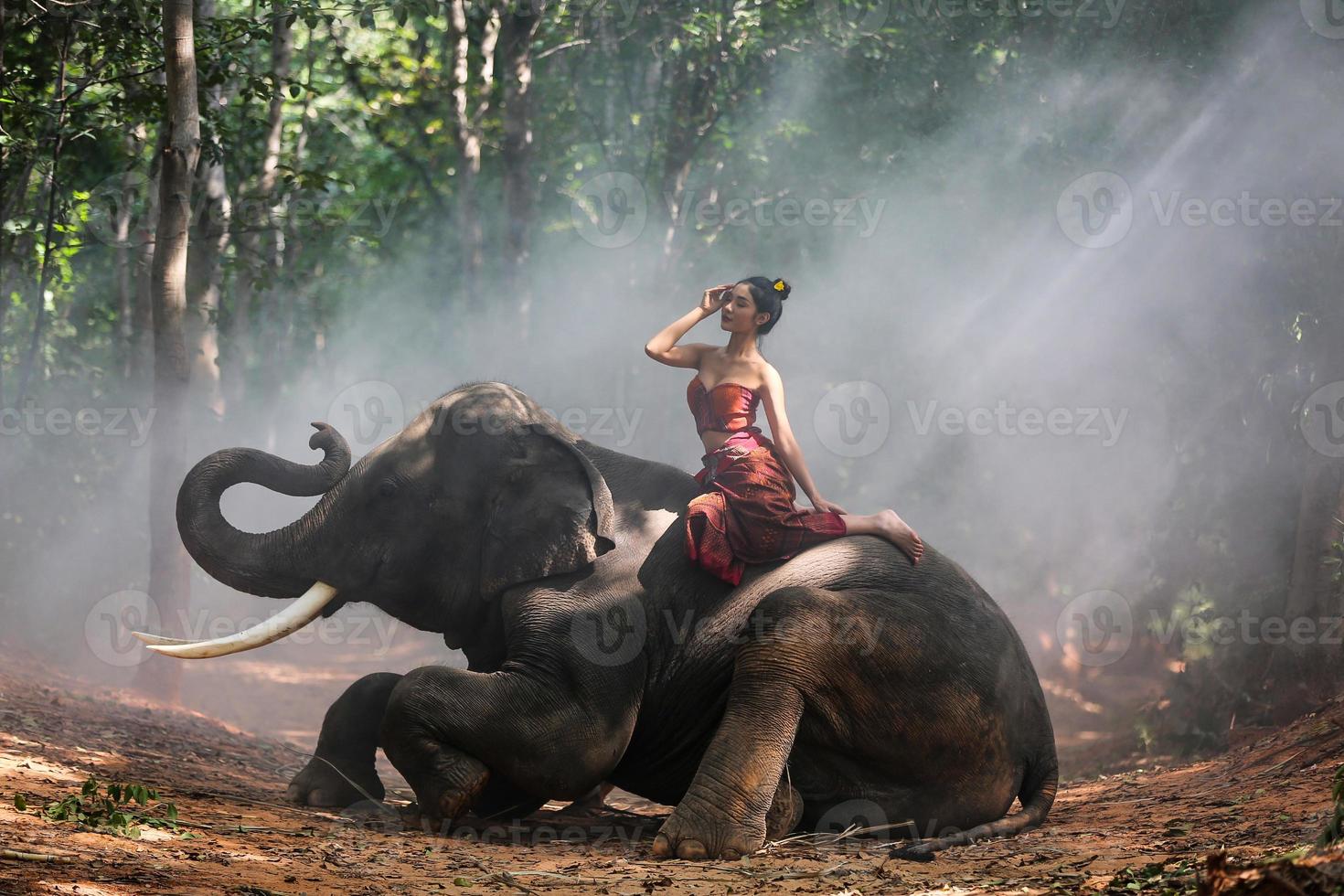 elefante de silhueta de campo de tailândia no fundo do pôr do sol, elefante tailandês em surin tailândia. foto