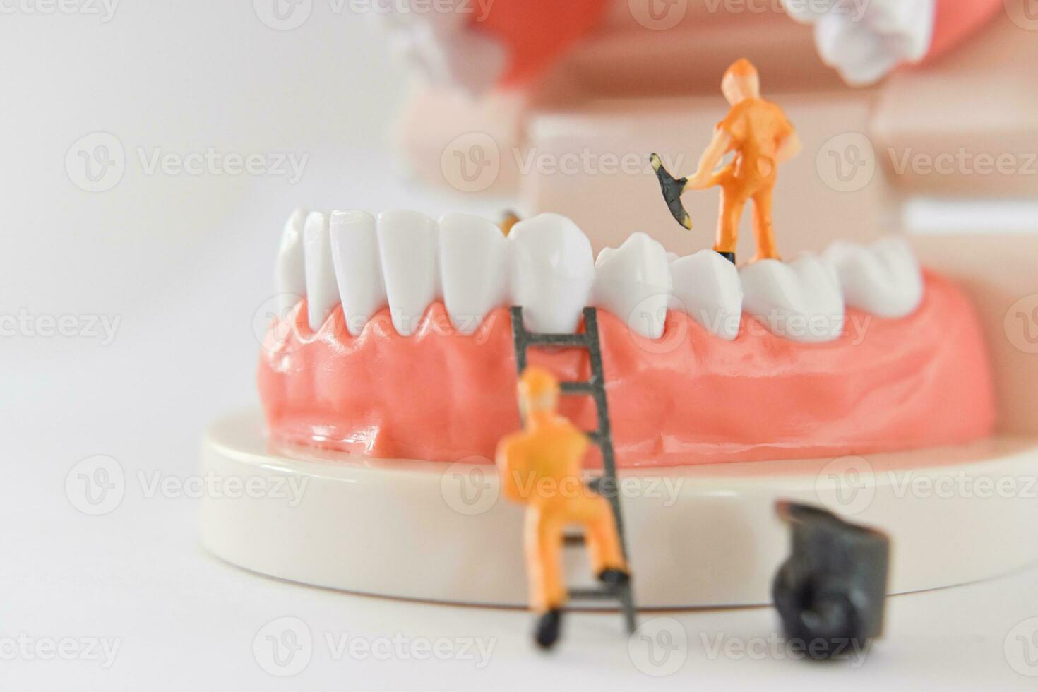 pessoas em miniatura para reparar um dente ou trabalhador de figura pequena, limpando o modelo de dente como médico e de saúde. foto