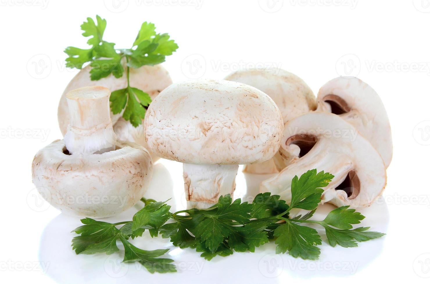 cogumelo champignon e salsa foto