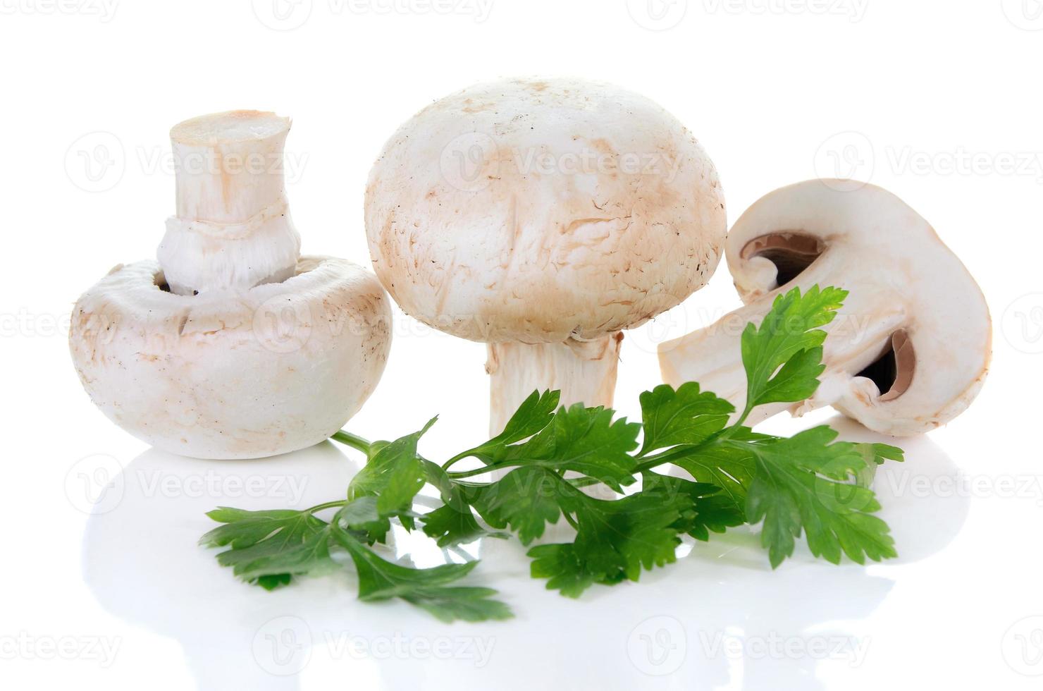 cogumelo champignon e salsa foto