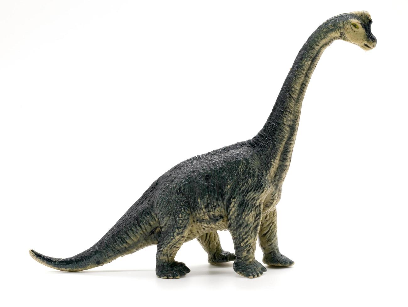 brinquedo de dinossauros braquiossauro em fundo branco foto
