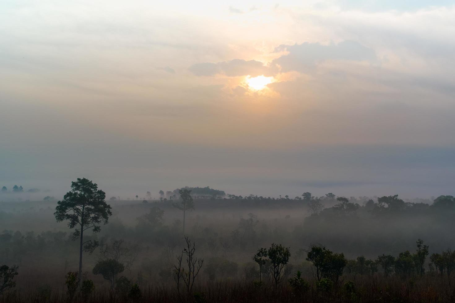 nascer do sol nublado dia de neblina área urbana, ar fresco foto