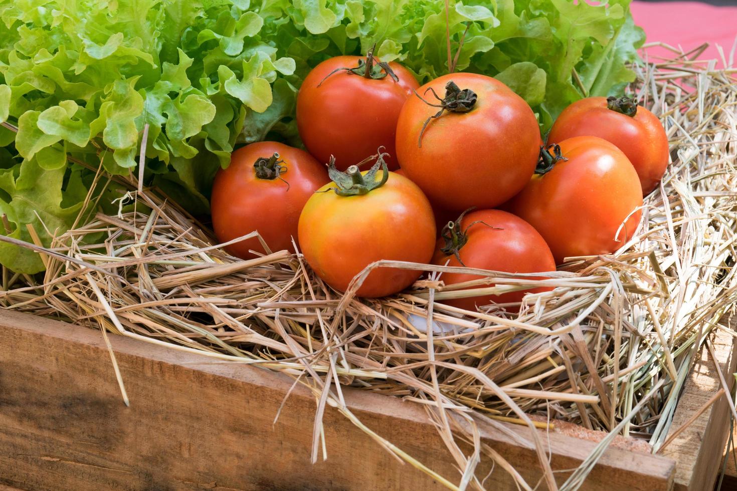 tomates frescos e vegetais hidropônicos em uma caixa de madeira foto
