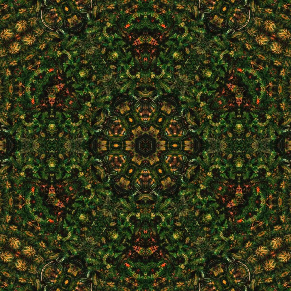 fundo quadrado abstrato verde escuro. padrão de caleidoscópio de floresta escura. fundo livre. foto