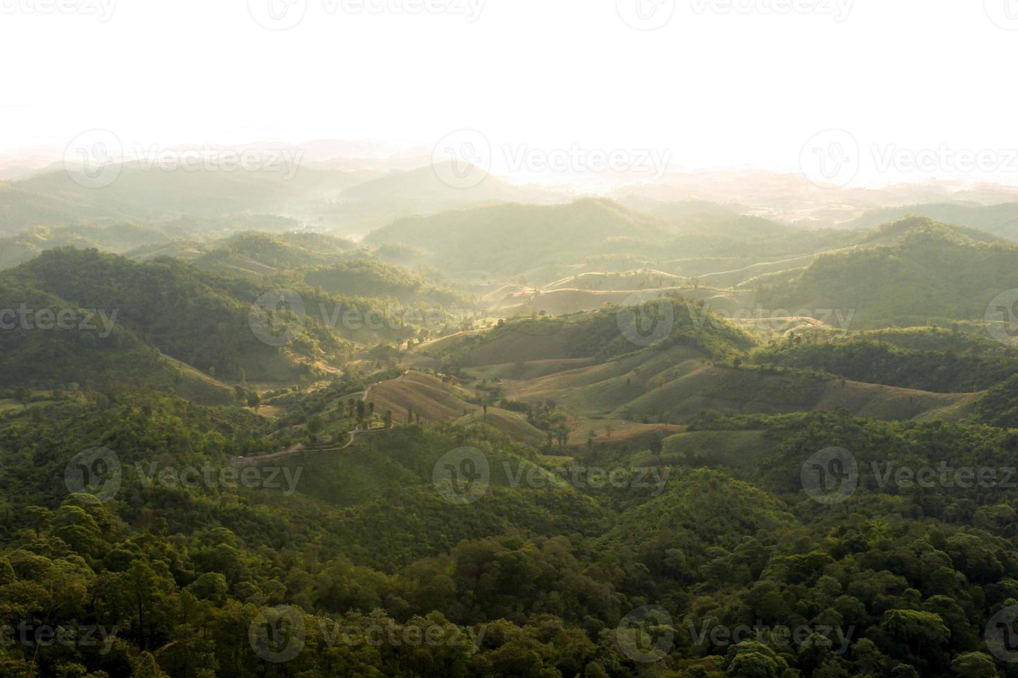 colina em uma visão do nascer do sol de névoa da montanha para o dia da terra, conceito de natureza foto