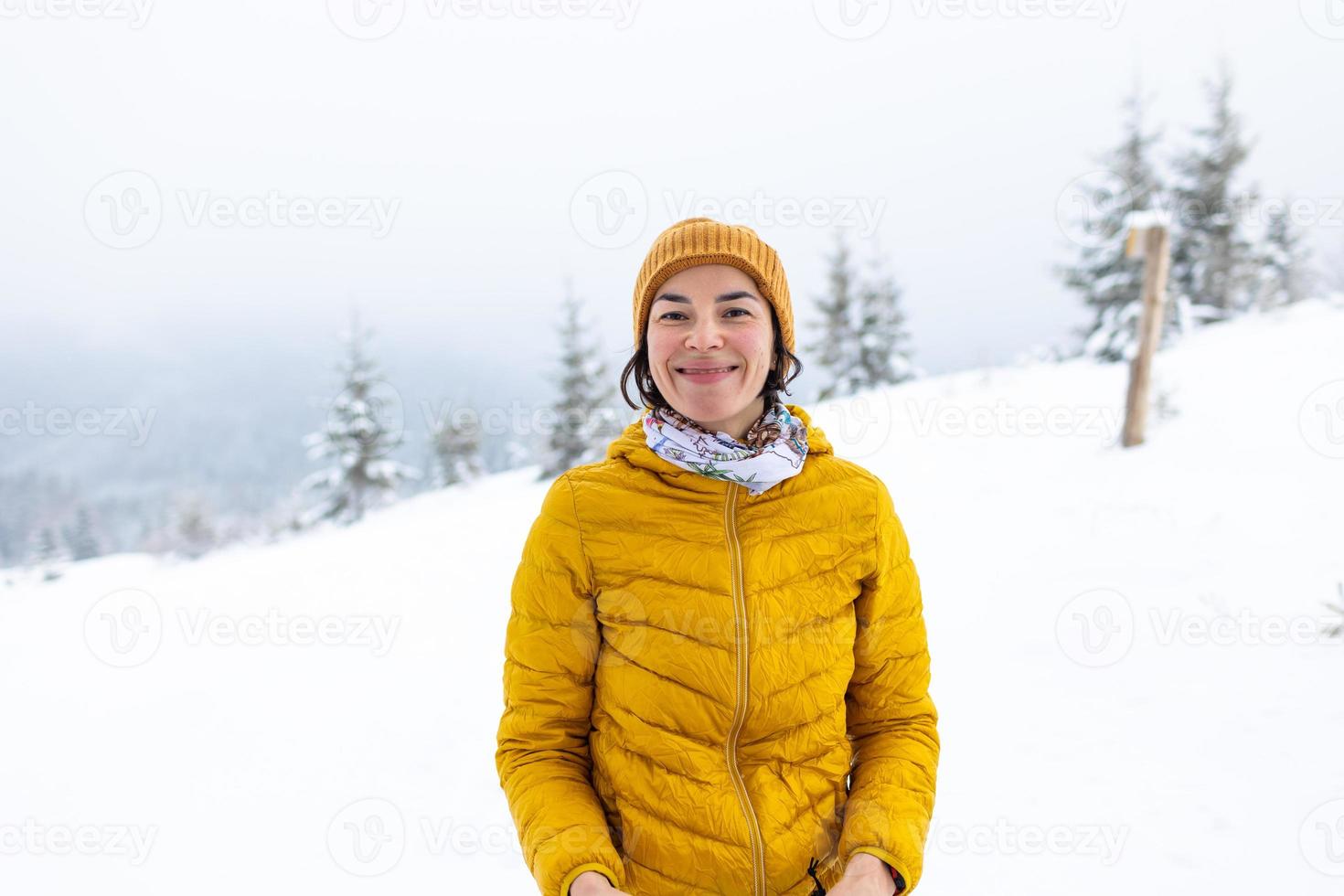 uma mulher no fundo das montanhas cobertas de neve foto