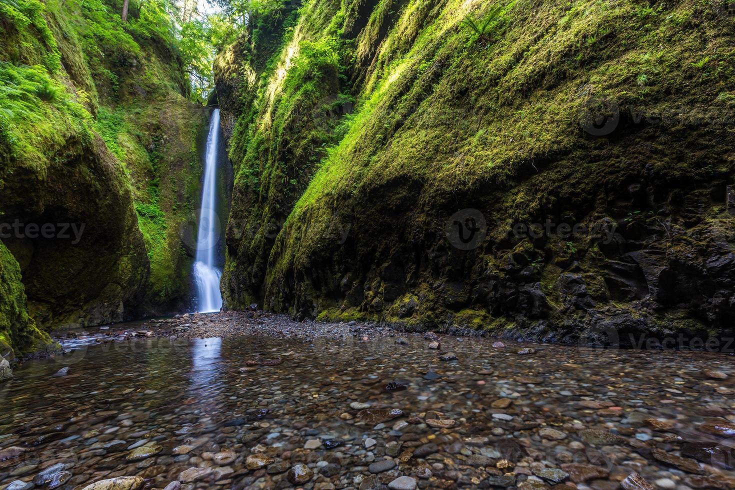 bela natureza em oneonta gorge trail, oregon foto