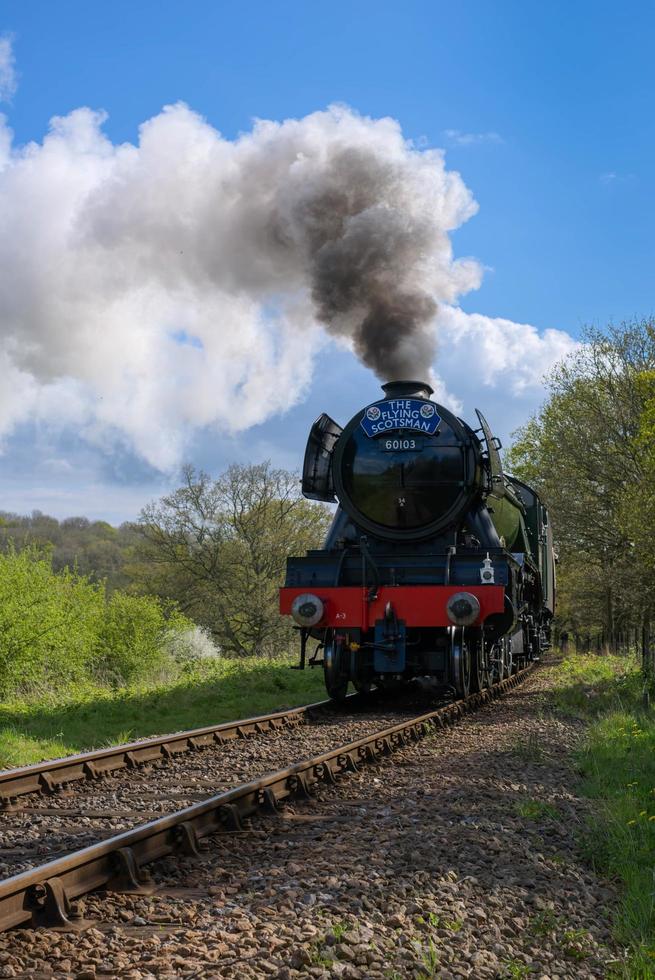 Horsted Keynes, West Sussex, Reino Unido, 2017 escocês voador na linha bluebell foto