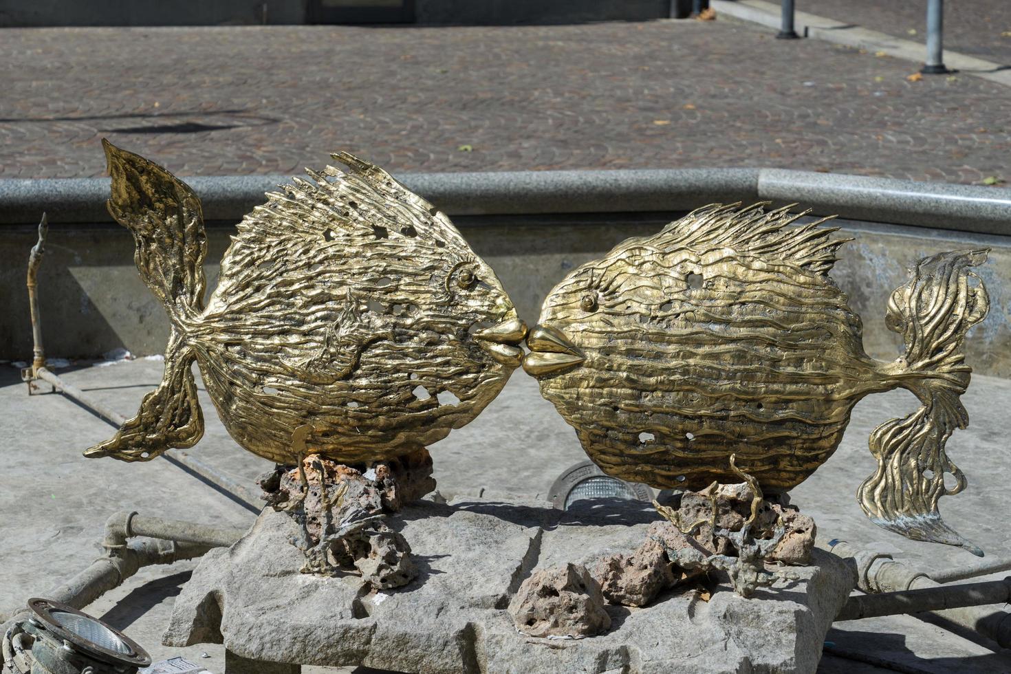 brivio, lombardia, 2015. peixe dourado em uma piscina vazia foto