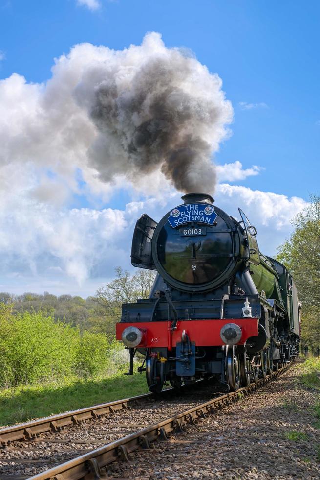 Horsted Keynes, West Sussex, Reino Unido, 2017 escocês voador na linha bluebell foto