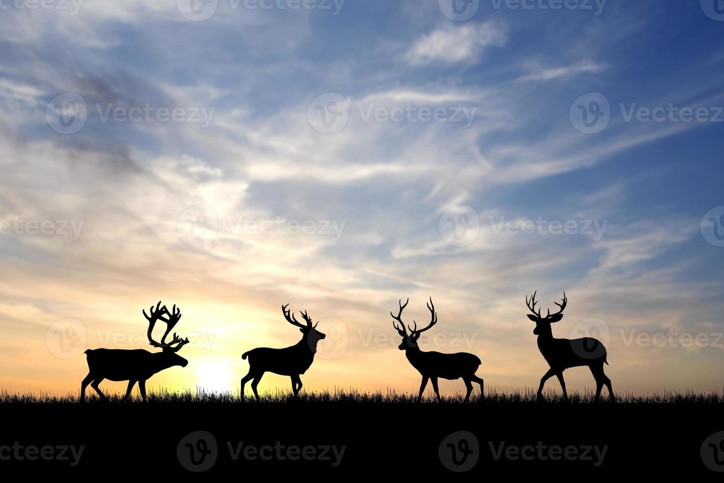 silhuetas de veados em um belo prado claro. conceito de vida selvagem na natureza foto