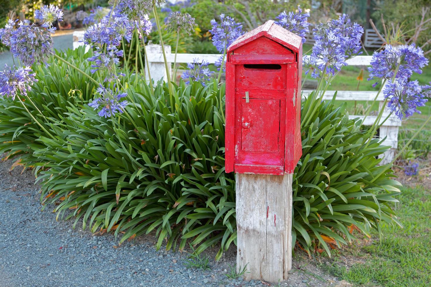 caixa postal nova zelândia foto