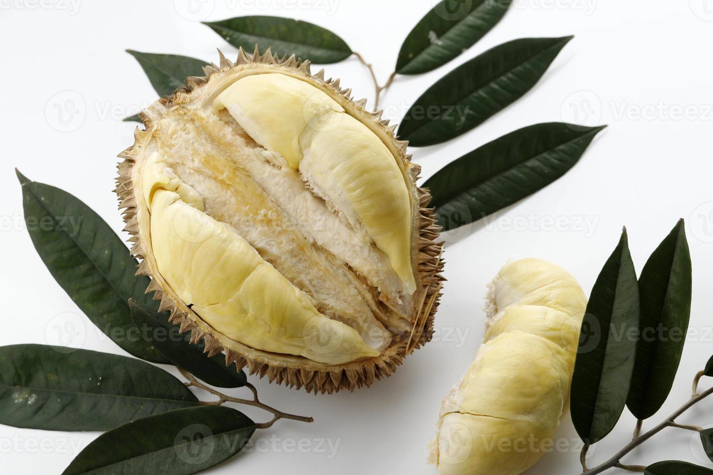 durian monthong rei de frutas da tailândia, sobre fundo branco foto