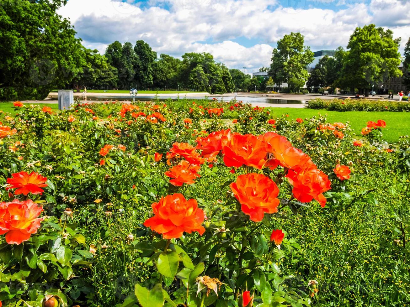 jardins hdr em stuttgart, alemanha foto