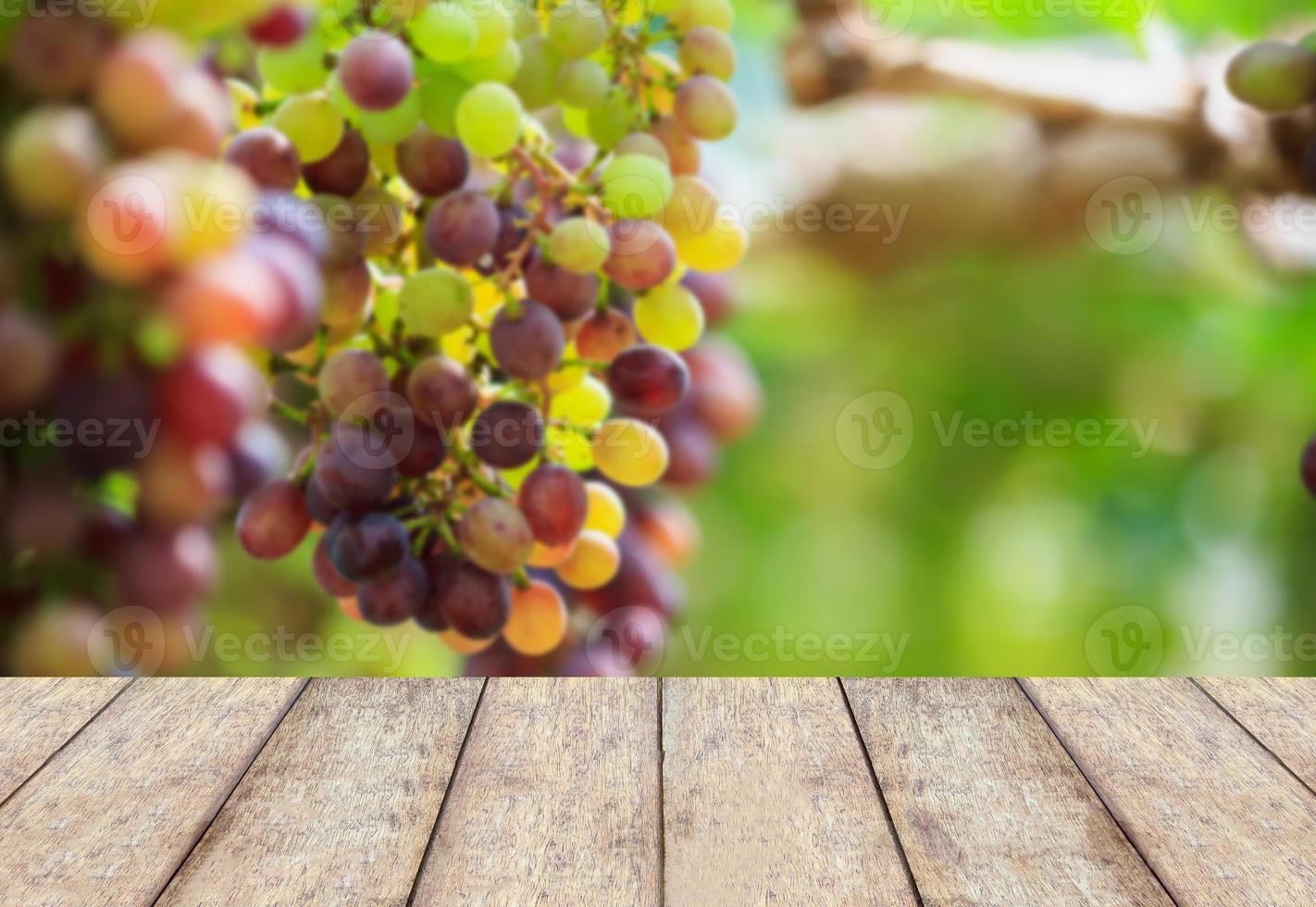 piso de madeira com cachos de uvas para vinho foto