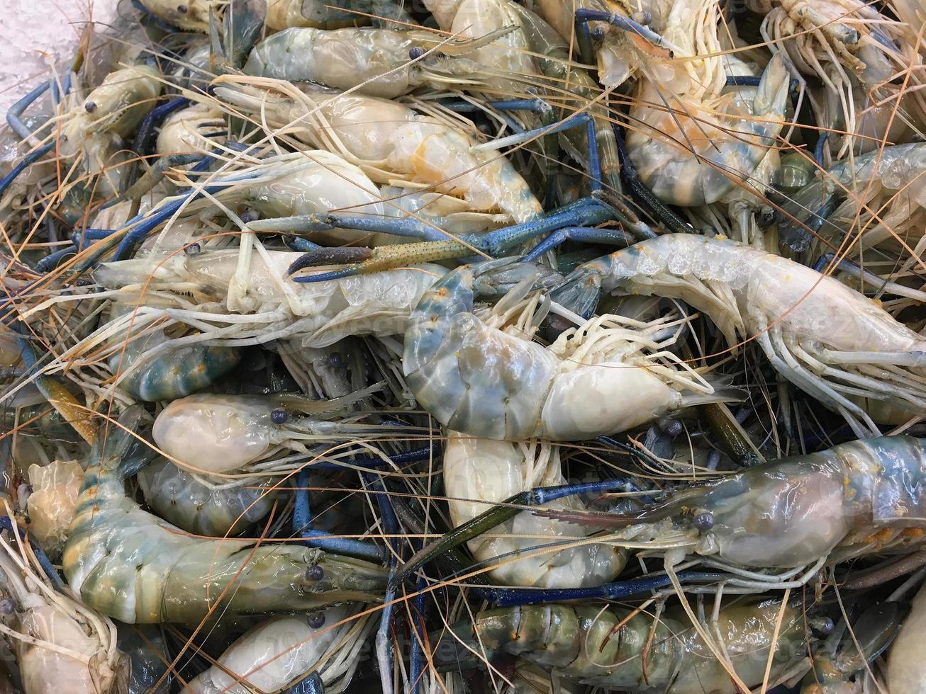 camarões frescos no gelo no mercado de frutos do mar foto