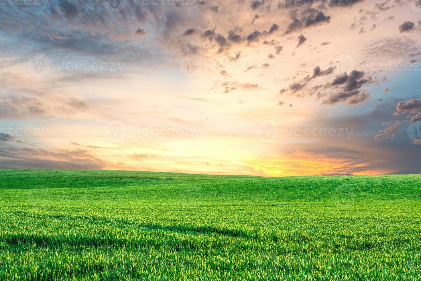 um grande prado ao fundo é o céu. conceito de imagem de fundo da natureza foto