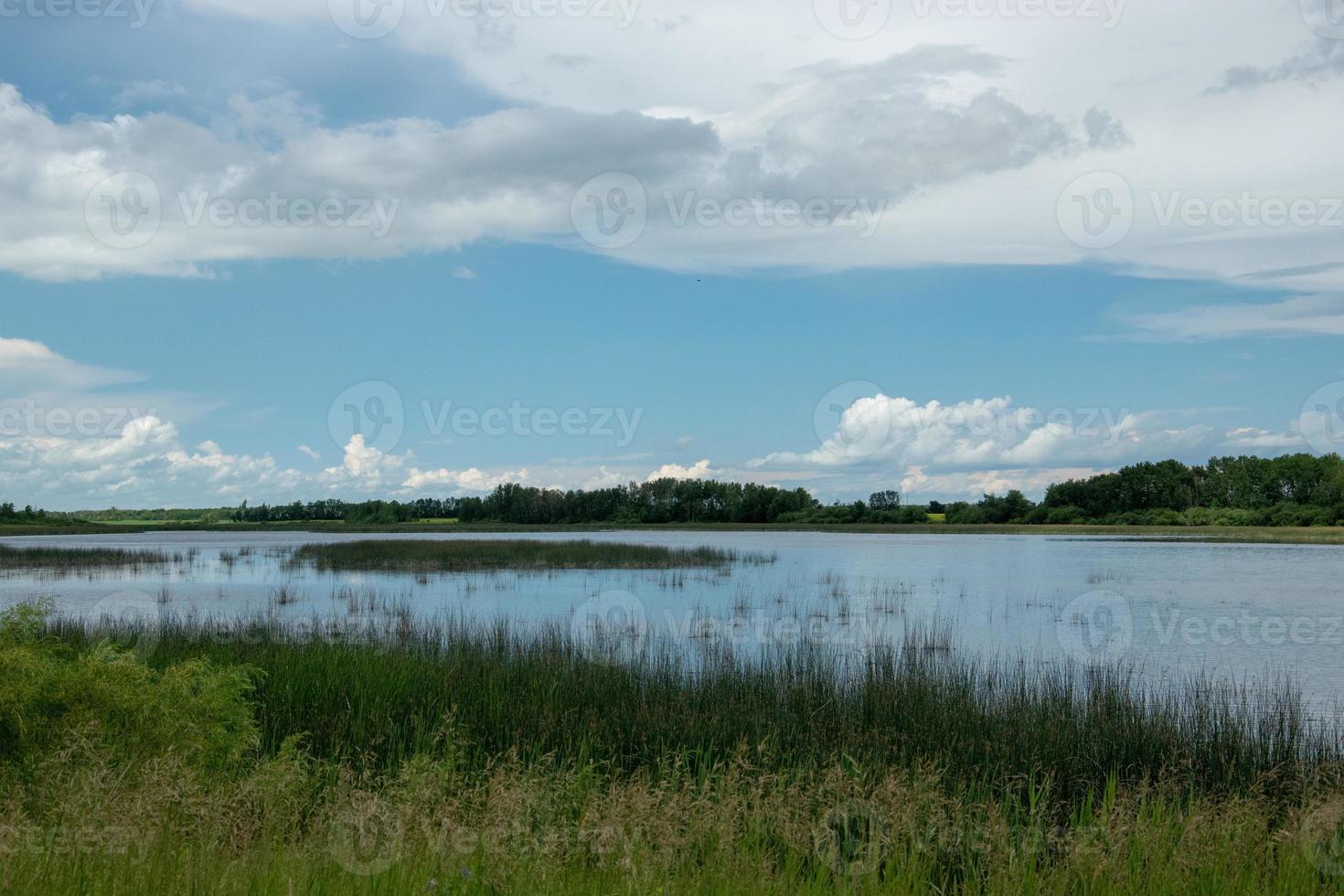 terra do pântano em saskatchewan, canadá. foto