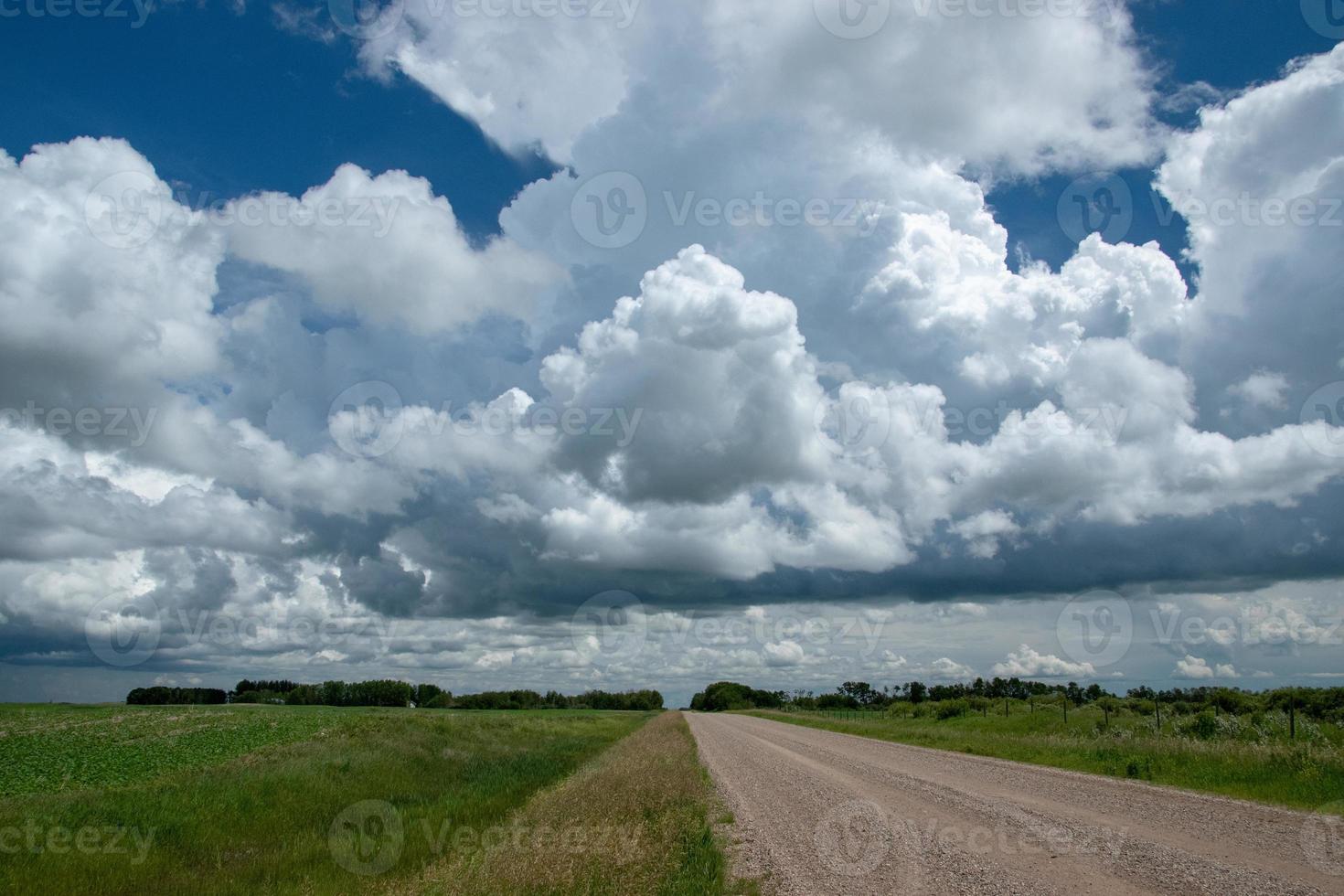 range road and farm land em saskatchewan, canadá. foto