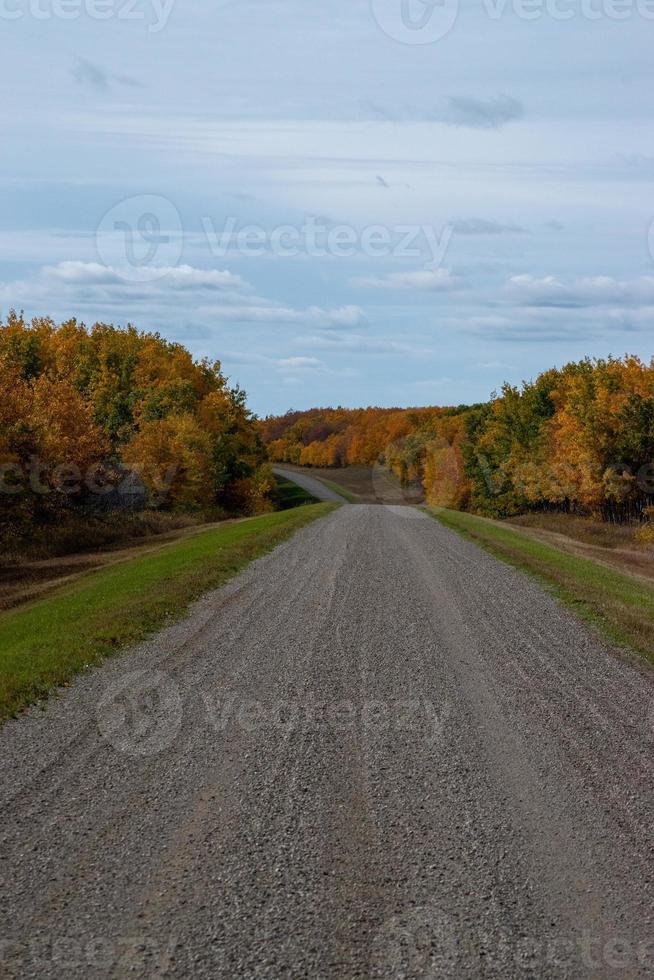 estrada rural nas pradarias canadenses no outono. foto