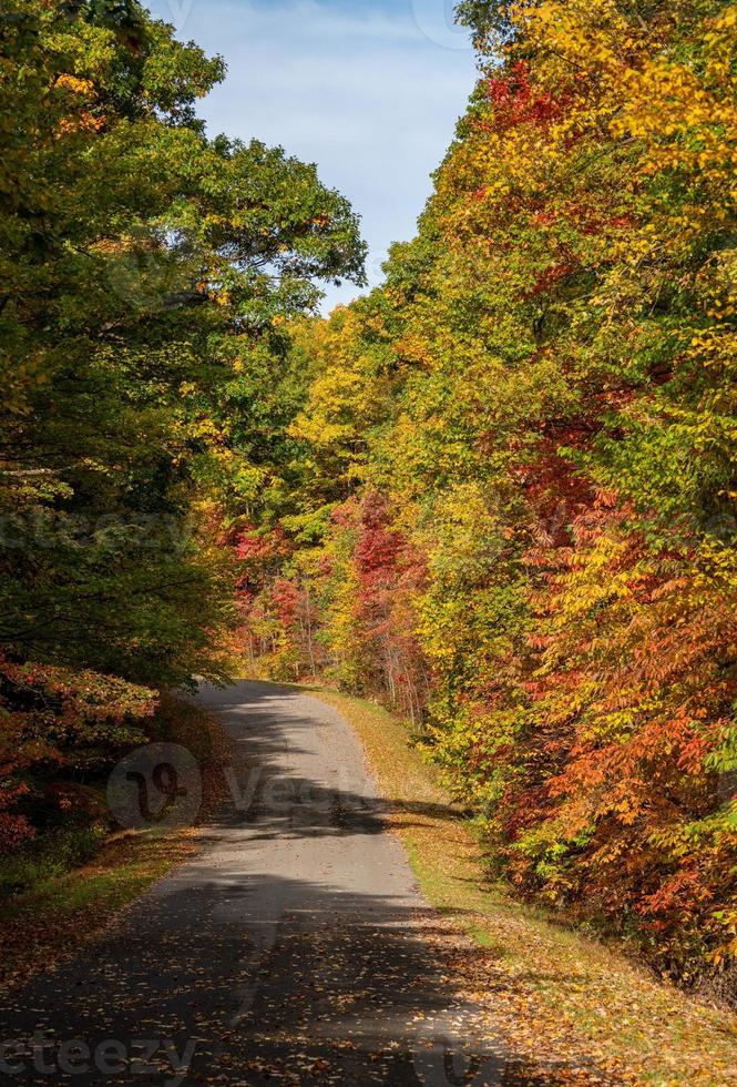 estrada no coopers rock state park, na virgínia ocidental, com cores de outono foto