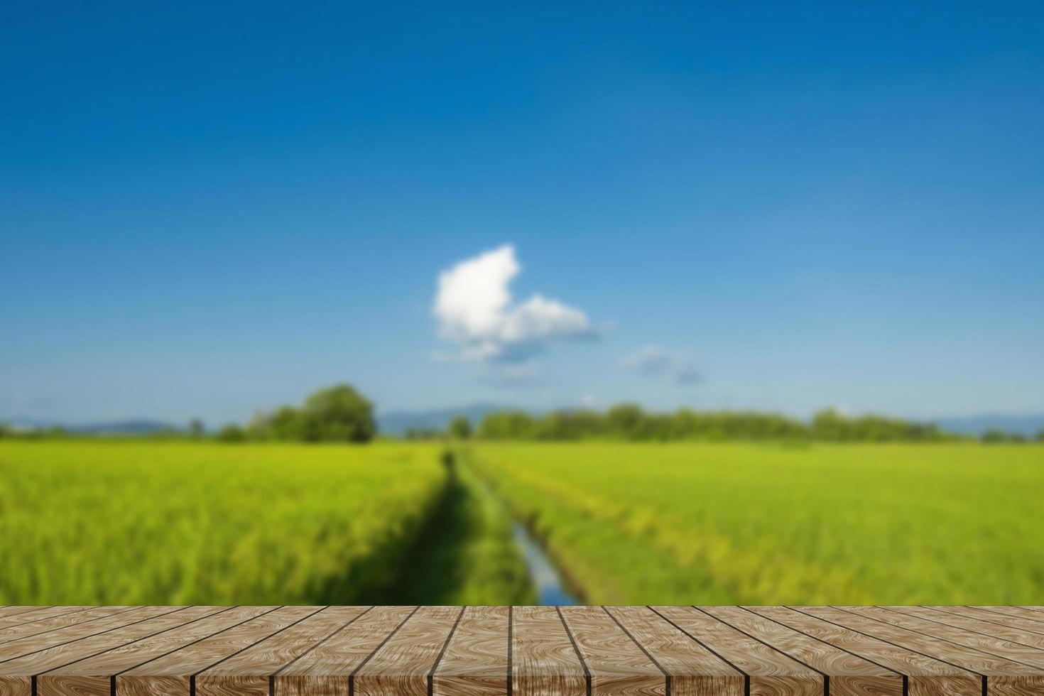 mesa de madeira e borrão de beleza em dia ensolarado no campo de arroz com céu e montanhas como pano de fundo. foto