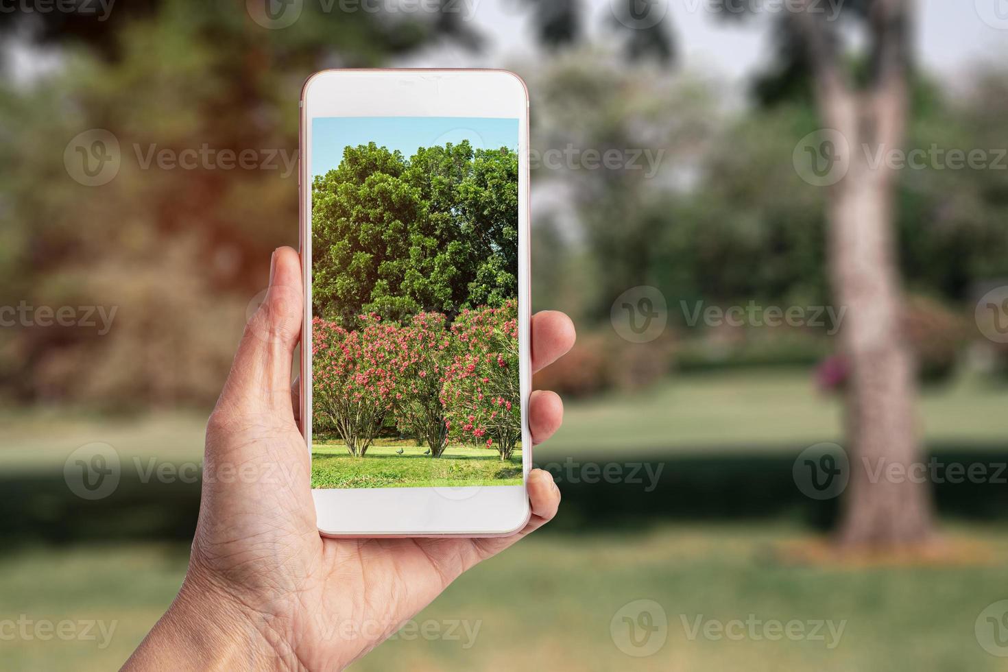 tirando foto com smartphone no parque natural, tecnologia e estilo de vida moderno.