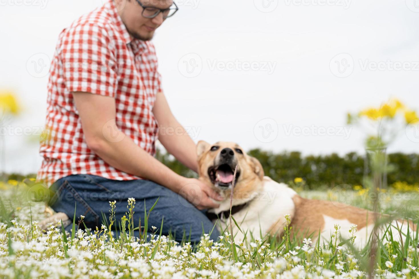 homem feliz brinca com cão pastor de raça mista na grama verde, foco seletivo foto