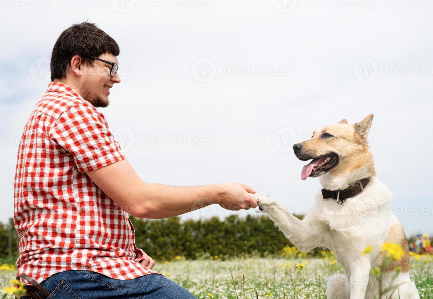 homem feliz brinca com cão pastor de raça mista na grama verde foto