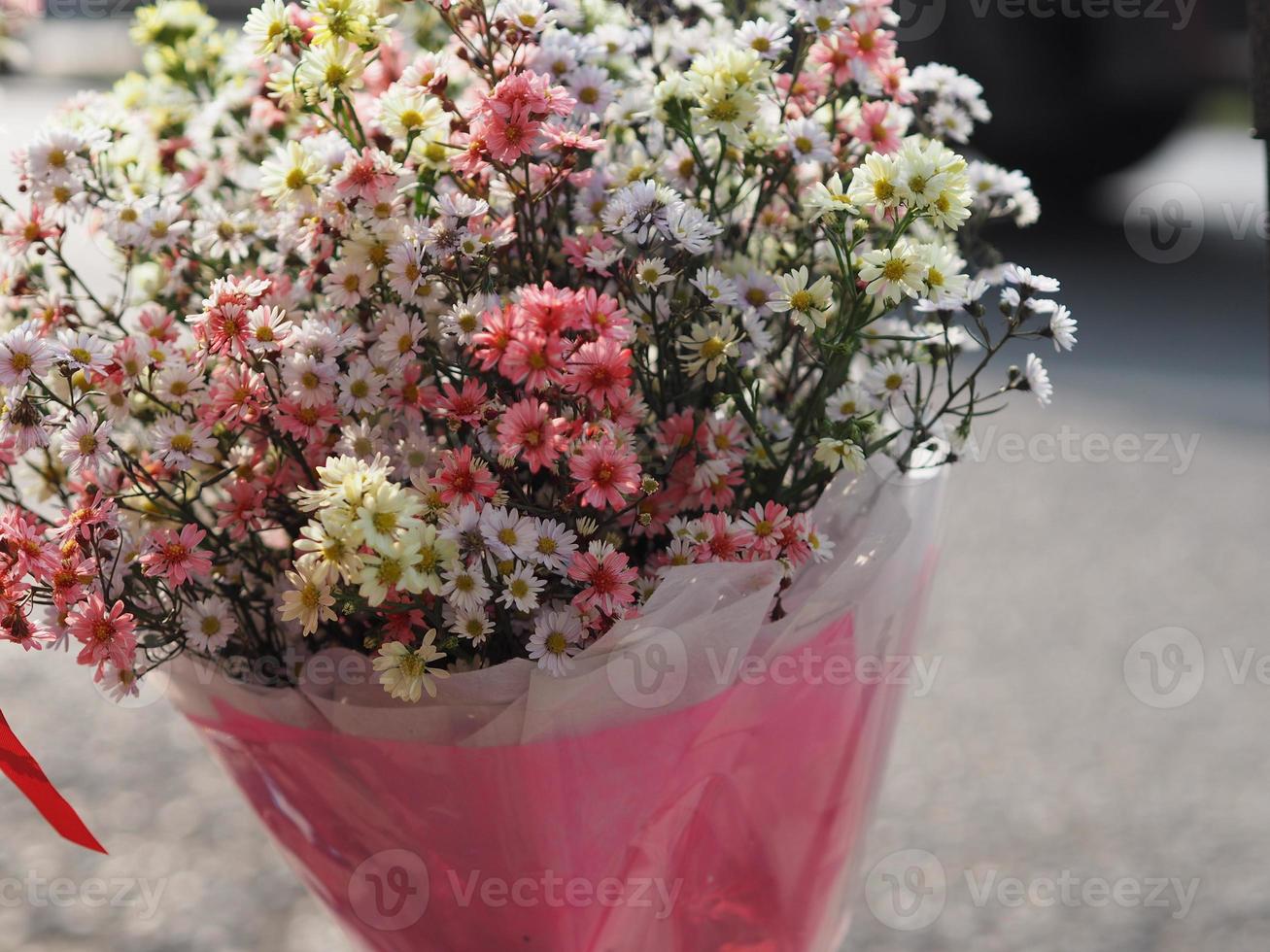 flor de aster cortador, solidago canadensis, asteraceae, biannials cor branca flores um buquê de flores fundo foto