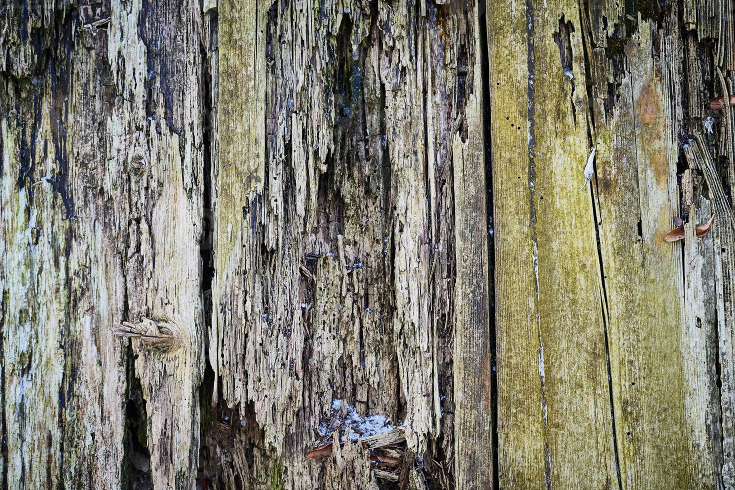textura de madeira velha para fundo da web, pano de fundo de madeira podre, decrépito, podre foto