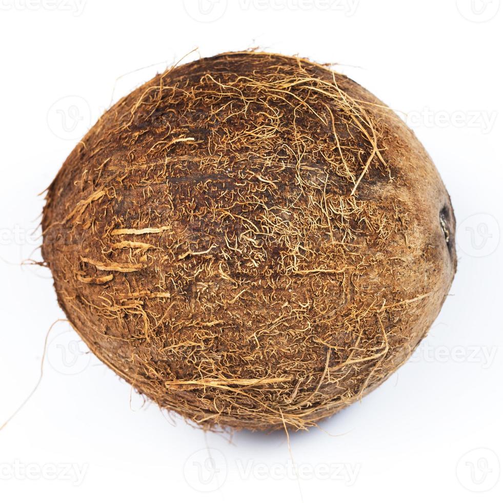 cocos em fundo branco foto