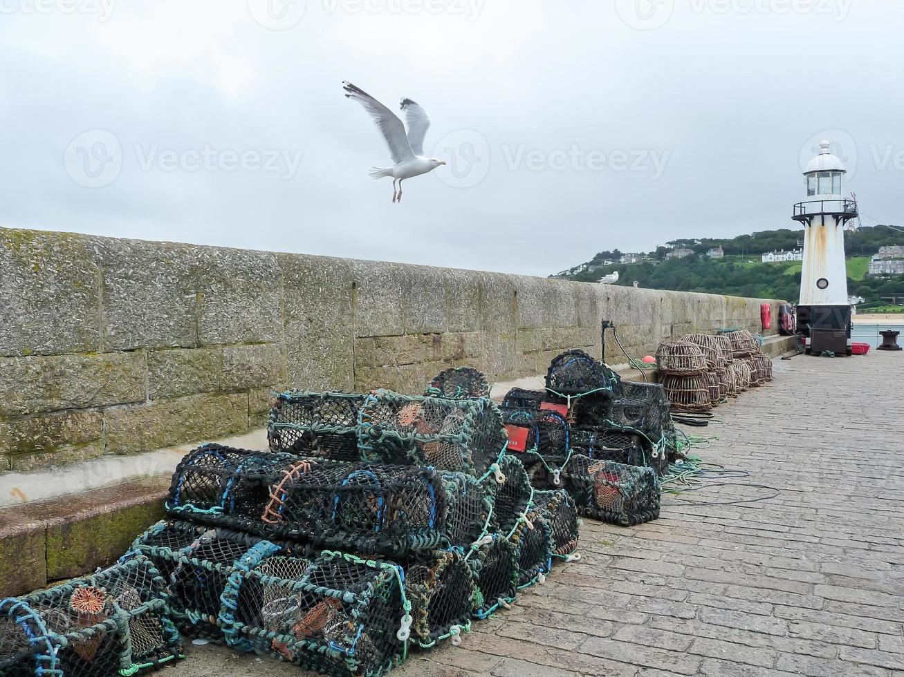 gaivota em voo no porto com armadilhas de um pescador foto