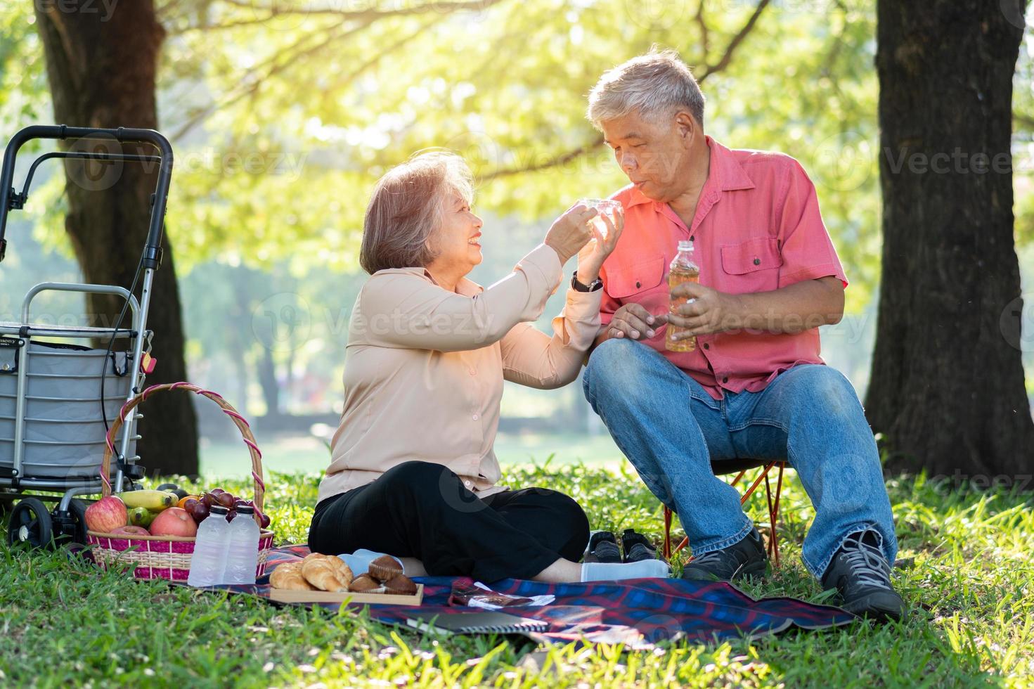Felizes velhos cônjuges de casal de idosos relaxando e sentados em um cobertor no parque e compartilhando algumas memórias preciosas. casal sênior se divertindo juntos em um piquenique. conceito de relacionamentos maduros foto
