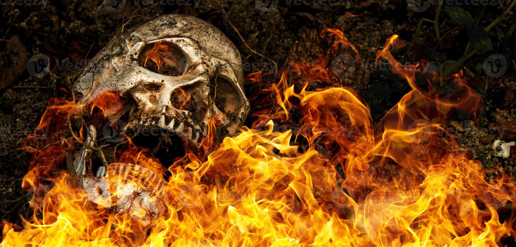 na frente do crânio humano enterrado em chamas no solo com as raízes da árvore ao lado. o crânio tem sujeira presa ao crânio. conceito de morte e halloween foto