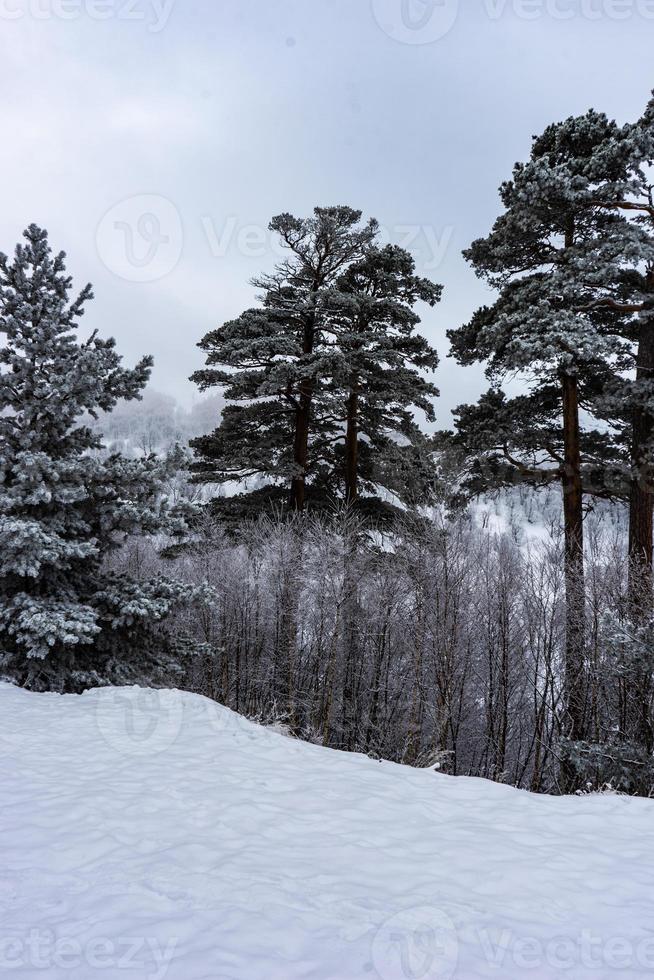 coberto de neve montanha do Cáucaso foto